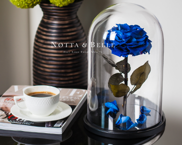 Роза в колбе купить в Москве от Notta & Belle. Приятные цены, гарантия ...